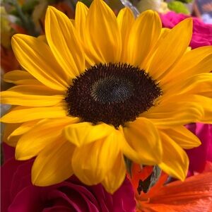 Meet your Posher, Cynthia